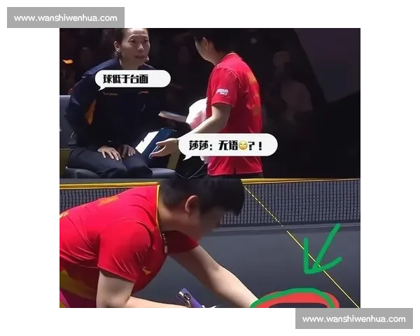 羽毛球比赛中争议判罚引发裁判与选手间激烈讨论